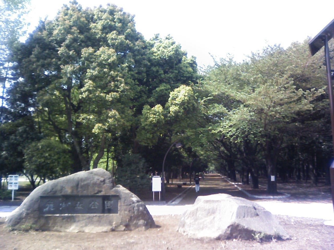 Hikarigaoka Park, TokyoImage
