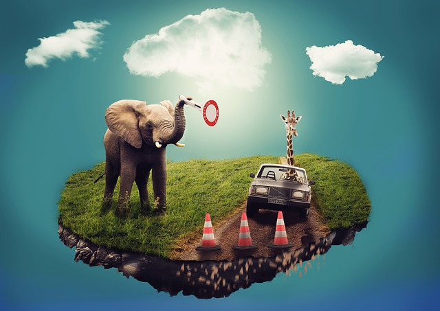 Elephant and car in dream scene