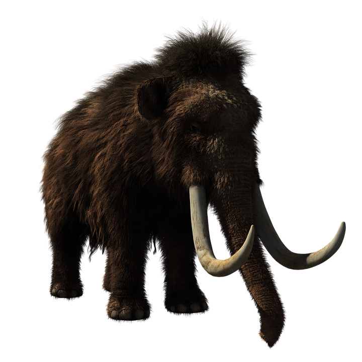 Wooly mammoth