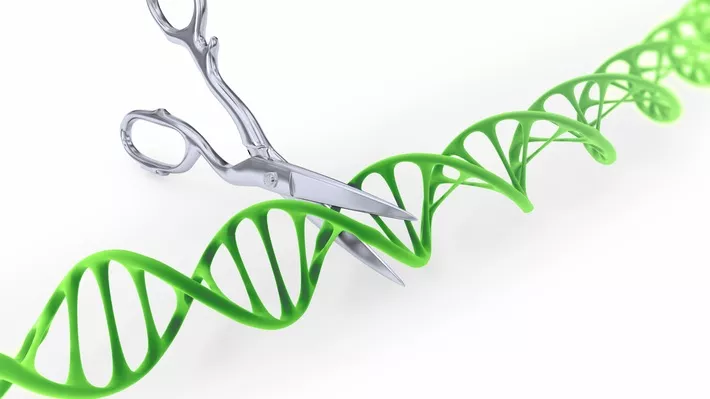 Genome editing graphic